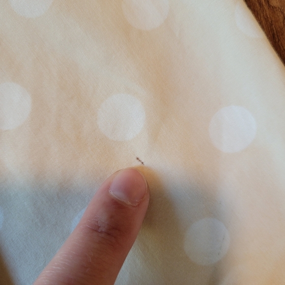 J.Crew Light Tan White Polka Dot A-line Skirt - Picture 3 of 8